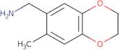 (7-Methyl-2,3-Dihydro-1,4-Benzodioxin-6-Yl)Methylamine