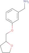 {3-[(oxolan-2-yl)methoxy]phenyl}methanamine