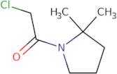 2-Chloro-1-(2,2-dimethylpyrrolidin-1-yl)ethan-1-one