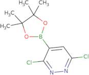 3,6-Dichloro-pyridazine-4-boronic acid pinacol ester