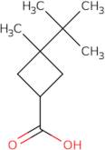 3-tert-Butyl-3-methylcyclobutane-1-carboxylic acid