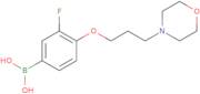 (3-fluoro-4-(3-morpholinopropoxy)phenyl)boronic acid