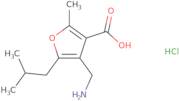 4-Aminomethyl-5-isobutyl-2-methyl-furan-3-carboxylic acid hydrochloride