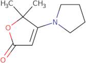 5,5-Dimethyl-4-(pyrrolidin-1-yl)furan-2(5H)-one