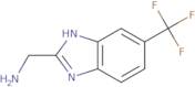 [6-(Trifluoromethyl)-1H-1,3-benzodiazol-2-yl]methanamine