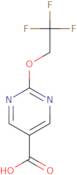 2-(2,2,2-Trifluoroethoxy)pyrimidine-5-carboxylic acid