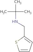 tert-Butyl(thiophen-2-ylmethyl)amine