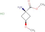 Methyl rac-(1S,3S)-1-amino-3-methoxycyclobutane-1-carboxylate hydrochloride