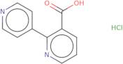 2-(Pyridin-4-yl)pyridine-3-carboxylic acid hydrochloride