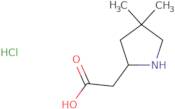 2-(4,4-Dimethylpyrrolidin-2-yl)acetic acid hydrochloride