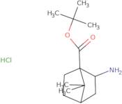 tert-Butyl 2-amino-7,7-dimethylbicyclo[2.2.1]heptane-1-carboxylate hydrochloride