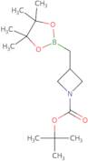 tert-Butyl 3-[(tetramethyl-1,3,2-dioxaborolan-2-yl)methyl]azetidine-1-carboxylate