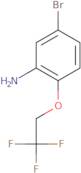 5-Bromo-2-(2,2,2-trifluoroethoxy)aniline