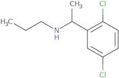 [1-(2,5-Dichlorophenyl)ethyl](propyl)amine