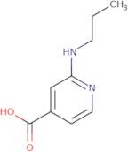 2-(Propylamino)isonicotinic acid