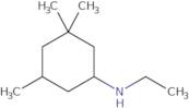 N-Ethyl-3,3,5-trimethylcyclohexan-1-amine