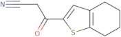 3-Oxo-3-(4,5,6,7-tetrahydro-1-benzothiophen-2-yl)propanenitrile