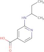 2-(Sec-butylamino)isonicotinic acid