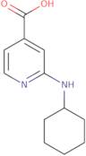 2-(Cyclohexylamino)isonicotinic acid