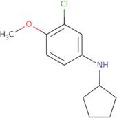 3-Chloro-N-cyclopentyl-4-methoxyaniline