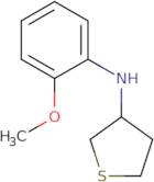 N-(2-Methoxyphenyl)thiolan-3-amine