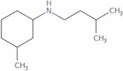 3-Methyl-N-(3-methylbutyl)cyclohexan-1-amine