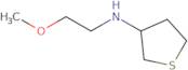 N-(2-Methoxyethyl)thiolan-3-amine