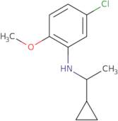 5-Chloro-N-(1-cyclopropylethyl)-2-methoxyaniline