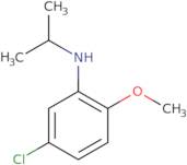 5-Chloro-2-methoxy-N-(propan-2-yl)aniline