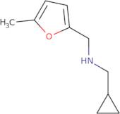 (Cyclopropylmethyl)[(5-methylfuran-2-yl)methyl]amine