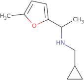 (Cyclopropylmethyl)[1-(5-methylfuran-2-yl)ethyl]amine