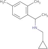 (Cyclopropylmethyl)[1-(2,4-dimethylphenyl)ethyl]amine