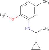 N-(1-Cyclopropylethyl)-2-methoxy-5-methylaniline