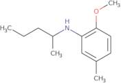 2-Methoxy-5-methyl-N-(pentan-2-yl)aniline