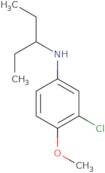 3-Chloro-4-methoxy-N-(pentan-3-yl)aniline