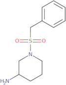 1-(Phenylmethane)sulfonylpiperidin-3-amine