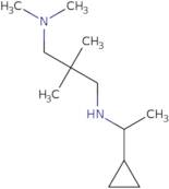 N-(1-Cyclopropylethyl)-N',N',2,2-tetramethylpropane-1,3-diamine