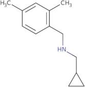 (Cyclopropylmethyl)[(2,4-dimethylphenyl)methyl]amine