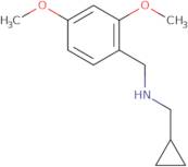 (Cyclopropylmethyl)[(2,4-dimethoxyphenyl)methyl]amine