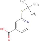 2-(tert-Butylsulfanyl)pyridine-4-carboxylic acid