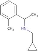 (Cyclopropylmethyl)[1-(2-methylphenyl)ethyl]amine