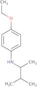 4-Ethoxy-N-(3-methylbutan-2-yl)aniline