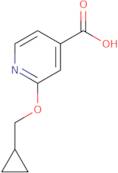 2-(Cyclopropylmethoxy)pyridine-4-carboxylic acid