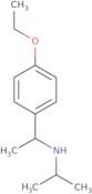 [1-(4-Ethoxyphenyl)ethyl](propan-2-yl)amine