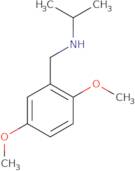 [(2,5-Dimethoxyphenyl)methyl](propan-2-yl)amine