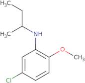 N-(Butan-2-yl)-5-chloro-2-methoxyaniline