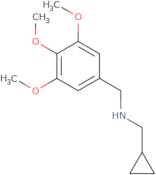 (Cyclopropylmethyl)[(3,4,5-trimethoxyphenyl)methyl]amine