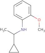 N-(1-Cyclopropylethyl)-2-methoxyaniline