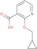 2-(Cyclopropylmethoxy)pyridine-3-carboxylic acid