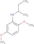 N-(Butan-2-yl)-2,5-dimethoxyaniline